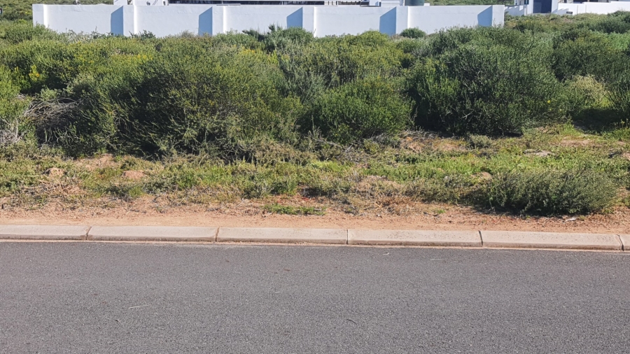 Commercial Property for Sale in St Helena Views Western Cape
